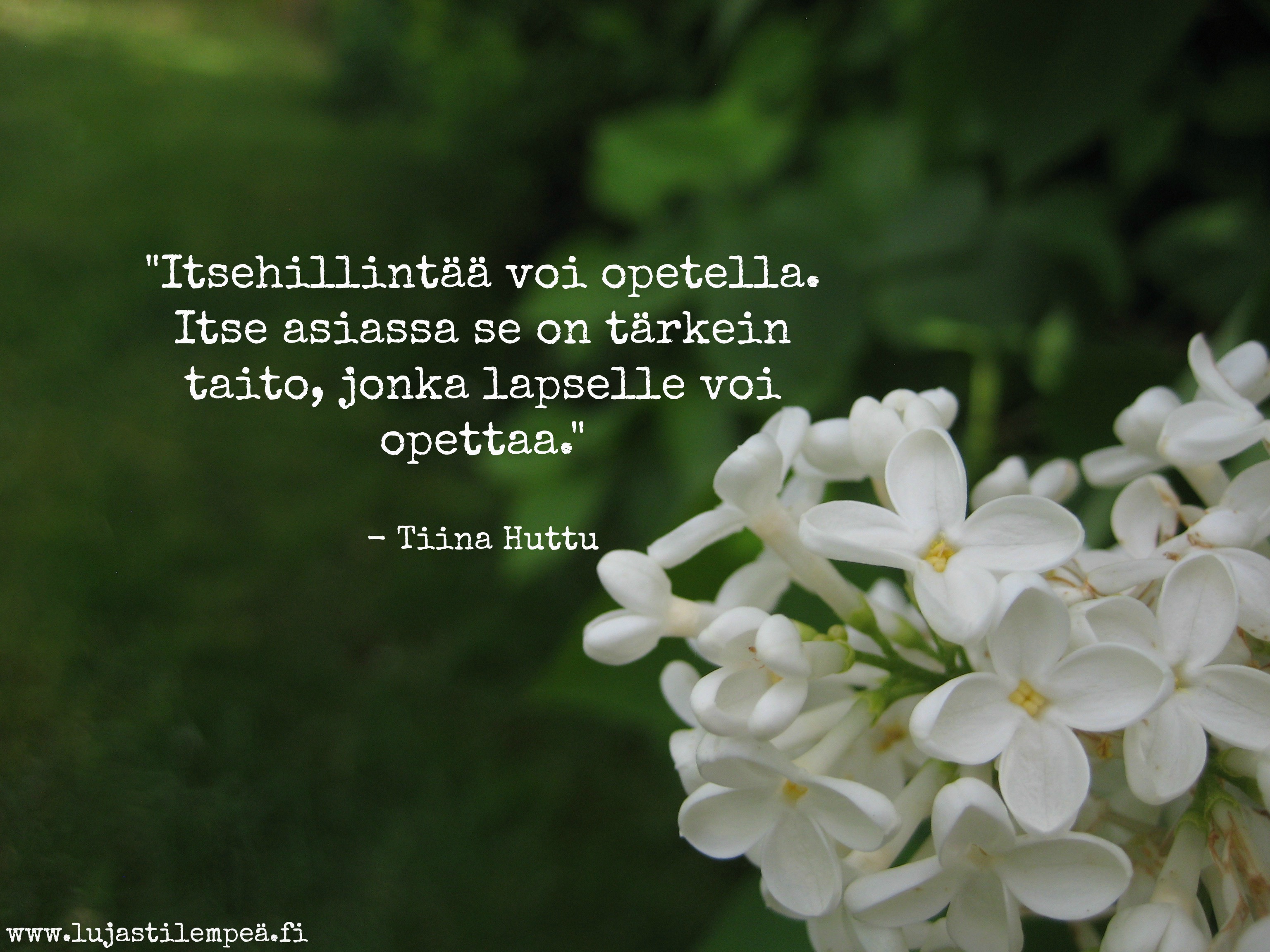 IMG_0426 (kopio).jpg